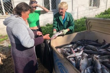 В регионе продолжается реализация социального проекта «Камчатская рыба» 2