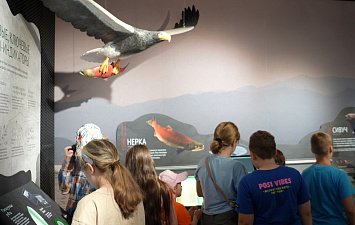 Юные экологи из лагеря «Гагарин» исследовали мир «Заповедной Камчатки» 3