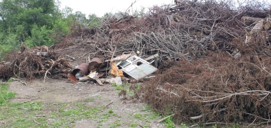 Три свалки рыбных и крабовых отходов обнаружили в двух районах Камчатки 2