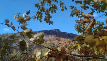 На горе Бабий Камень в Елизовском районе Камчатки установят природоохранный режим