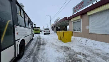 Государственная жилищная инспекция будет осуществлять контроль за вывозом мусора в Петропавловске-Камчатском