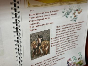 75-летие микрорайона «Геологи» отпраздновал Петропавловск-Камчатский 5