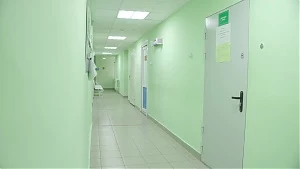 На Камчатке губернатор встретился с врачами ключевской больницы  