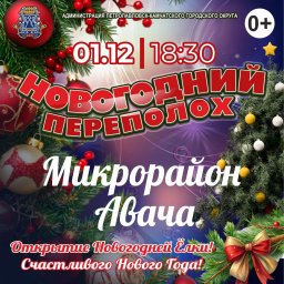 Открытие новогодних ёлок стартует с 1 декабря в Петропавловске-Камчатском 0