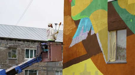 «Лик природы» украсил торец дома в столице Камчатки 0