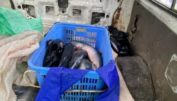 Незаконный вылов ценных лососевых пресечен на Камчатке Незаконный вылов ценных лососевых пресечен на Камчатке
