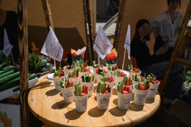 Более 3 000 человек посетили гастрономический фестиваль на Камчатке 11