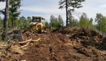 Мильковском и Усть-Камчатском районах провели противопожарные мероприятия лесов