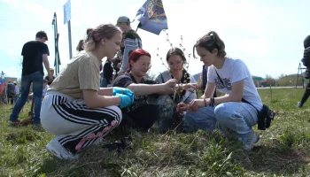 Сад памяти высадили в Николаевке на Камчатке