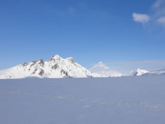 Олени задерживаются дольше обычного на горных пастбищах Камчатки 1