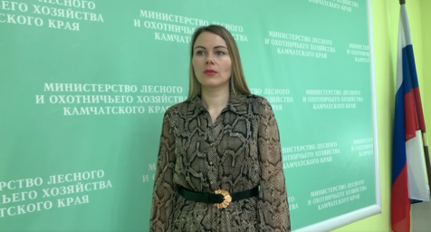 Медведей посчитали по весне на Камчатке 2