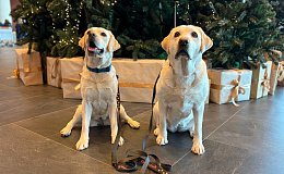 Булка встанет на защиту международного аэропорта на Камчатке 3