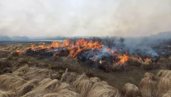 В первые сутки потушили лесной пожар у посёлка Козыревск на Камчатке