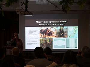Долговременную сеть фотомониторинга намерены развернуть в Кроноцком заповеднике на Камчатке 5