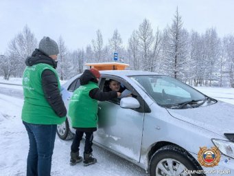 Экологическая акция «Ёлочка живи!» прошла в Мильковском лесничестве на Камчатке 1
