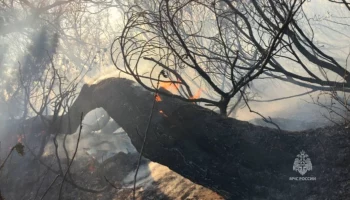 Почти 7 часов тушили пожарные сопку в столице Камчатки 