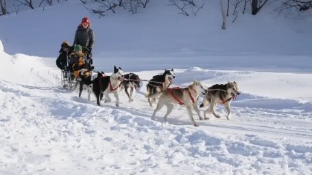 День защитника Отечества и городской фестиваль зимних видов спорта прошли в Петропавловске-Камчатском 24