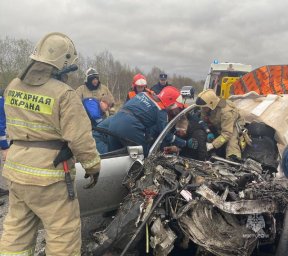 Спасатели извлекли водителя из автомобиля после столкновения с грузовиком на Камчатке 1