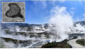 Обложку октябрьского выпуска престижного научного журнала mSystems украсило фото горячего источника с Камчатки 2 Обложку октябрьского выпуска престижного научного журнала mSystems украсило фото горячего источника с Камчатки 2