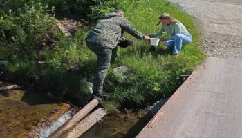 Пробы воды отобрали в реке Халактырка на Камчатке