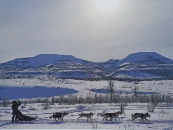 Экспозиция известного фотографа Виктора Гуменюка открылась в столице Камчатки 0