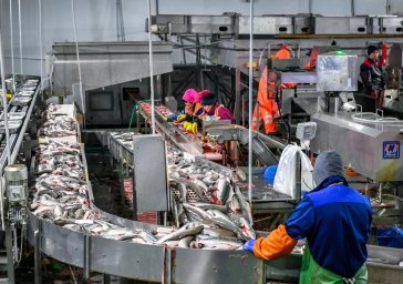 Десятилетие в статусе лидера по числу резидентов отмечает ТОР «Камчатка» 1
