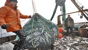 Новая редакция законопроекта о втором этапе инвестквот не отвечает ожиданиям камчатских рыбаков