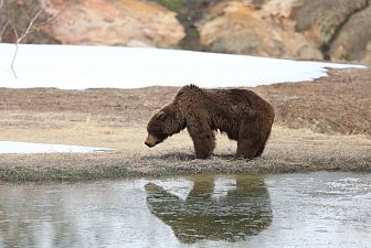 Месячник тишины стартует в Долине гейзеров на Камчатке 15