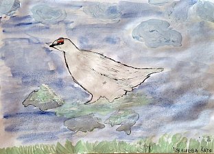 Уникальный определитель следов диких животных готовят юннаты на Камчатке 3