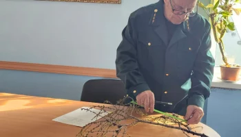 Лесники Атласовского лесничества оценили урожайность семян лиственницы Курильской на Камчатке