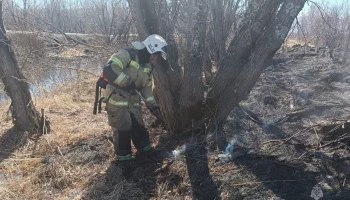 На Камчатке еще не начался официальный пожароопасный сезон, а уже зафиксировано 15 случаев возгорания травы