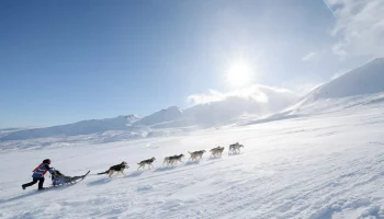 Открылся прием заявок на участие в гонке «Берингия.Авача – 2026» в Камчатском крае