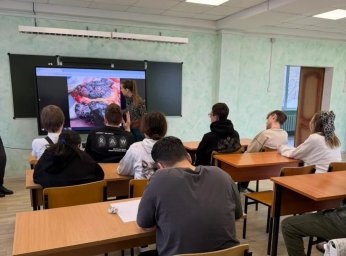 Итоги работы за прошедшую неделю подвели специалисты Центра общественного здоровья и медицинской профилактики на Камчатке 1