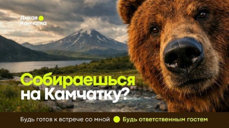 На форуме &laquo;Экосистема. Заповедный край&raquo; презентовали проект &laquo;Дикая Камчатка&raquo; 0