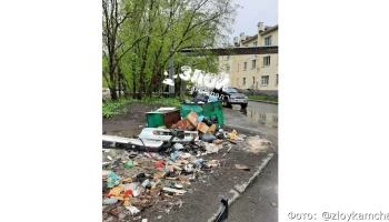 Нашествие крыс в Камчатской столице не осталось не замеченным Нашествие крыс в Камчатской столице не осталось не замеченным