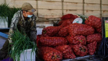 Сезонные сельскохозяйственные ярмарки запустят в столице Камчатки до конца июля