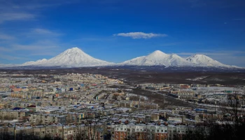 Регулирование наценок на местные овощи введут до 31 марта на Камчатке