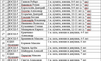 Лучших юных спортсменов в восточном боевом единоборстве определили в Петропавловске-Камчатском 4