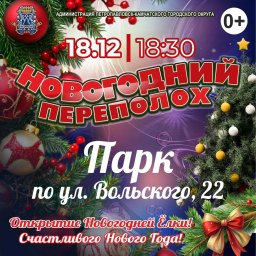 Открытие двух городских новогодних ёлок состоится сегодня в Петропавловске-Камчатском 0