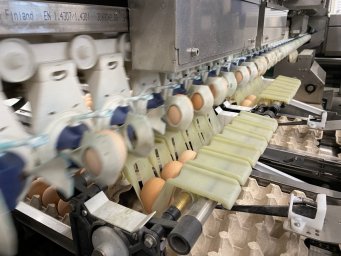 Птицефабрика «Пионерское» наращивает производственные мощности на Камчатке 10