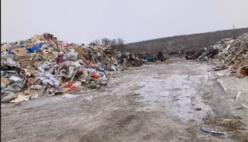 Компания «Феникс» заплатит 300 тысяч рублей за незаконную свалку на Камчатке