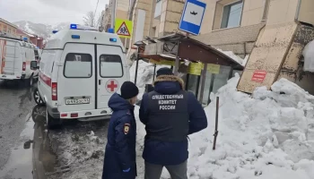 Уголовное дело после гибели женщины на остановке возбуждено на Камчатке