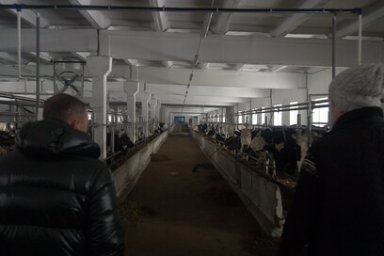 На Камчатке торжественно открыли новую молочную ферму в Шаромах 1
