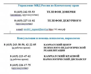 К общероссийской акции &laquo;Сообщи, где торгуют смертью!&raquo; присоединился Камчатский край 0