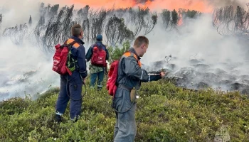 Волонтёры помогают тушить пожары на Камчатке
