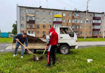45 саженцев березы и ели высадили в селе Коряки на Камчатке 1