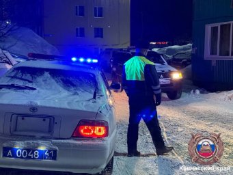 Как перевозят юных пассажиров, проконтролировали сотрудники Госавтоинспекции Петропавловска-Камчатского 1