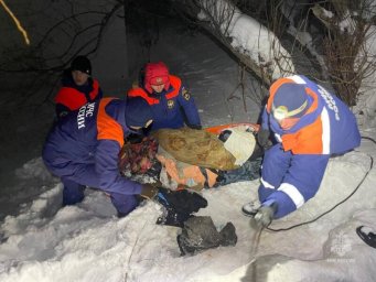 Спасательную операцию провели специалисты в частном секторе Петропавловска-Камчатского 2