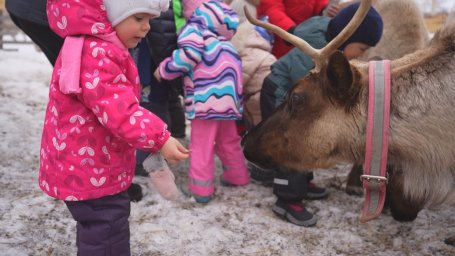 Воспитанники Дома ребёнка посетили питомник ездовых собак на Камчатке 7