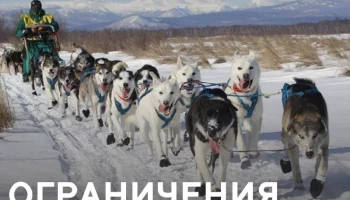 Временные ограничения на посещение природного парка &laquo;Налычево&raquo; введут на Камчатке